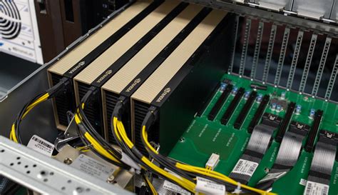 server gpu
