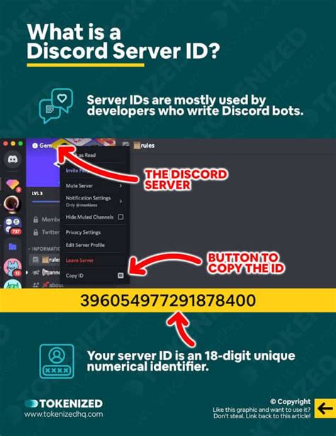 server id discord