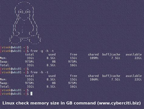 Server Memory Size Linux