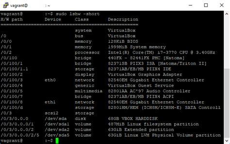 server specs linux command