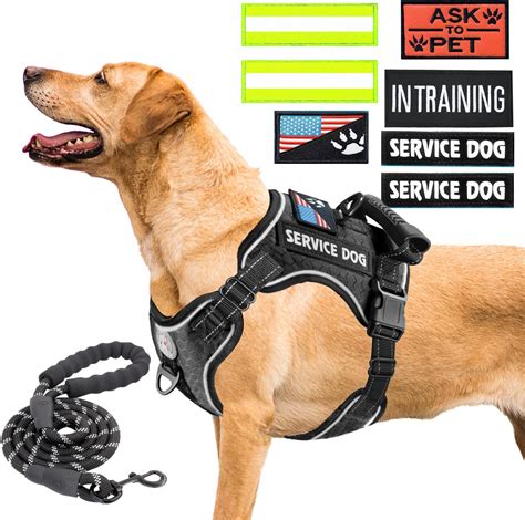 Service Dog Harness For Stability