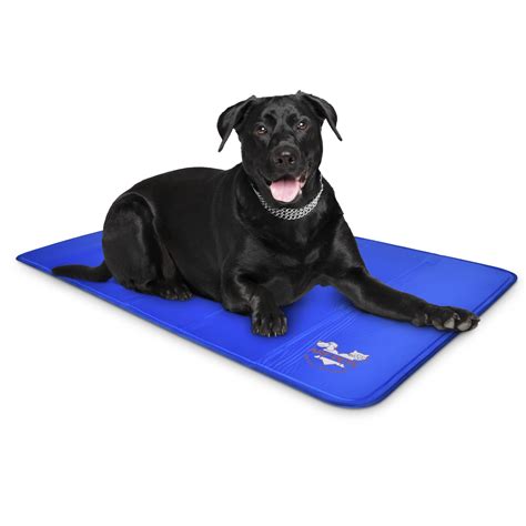 service dog mat