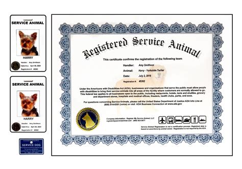 service dog paperwork online