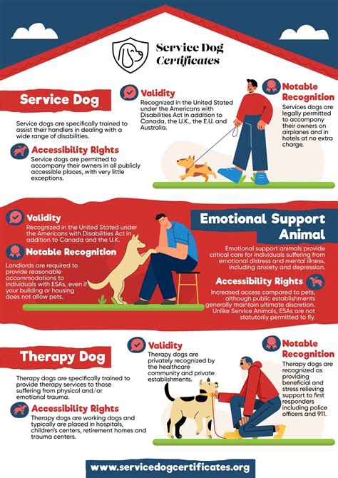 Service Dog Qualities