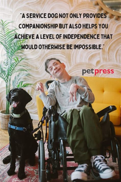 Service Dog Quotes