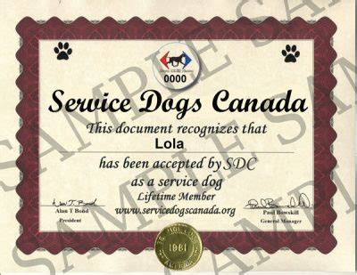 service dog training certification canada