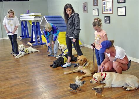 service dog training classes