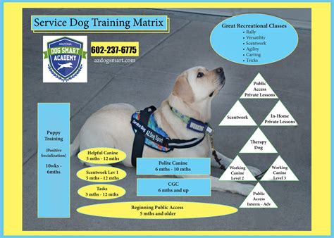 service dog training curriculum