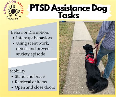 service dog training for ptsd