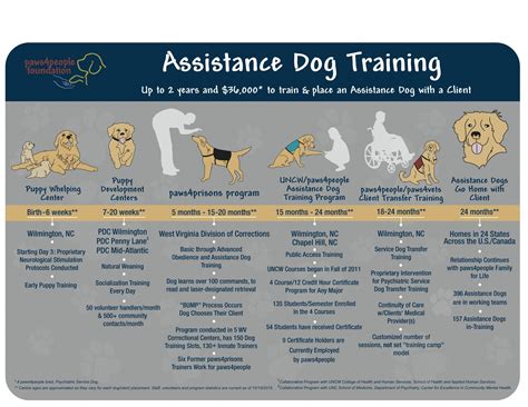 service dog training tips