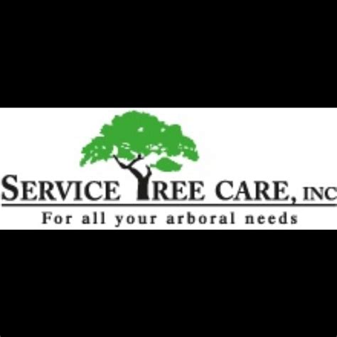 service tree care inc