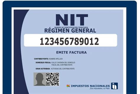 servicio de impuestos nacionales bolivia nit