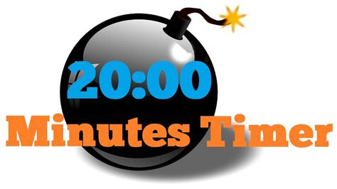 set a timer for 20 minutes
