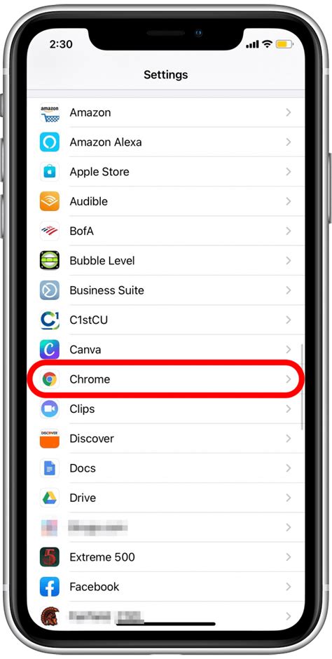 set default browser iphone 11