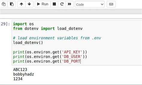 set environment variable in python notebook