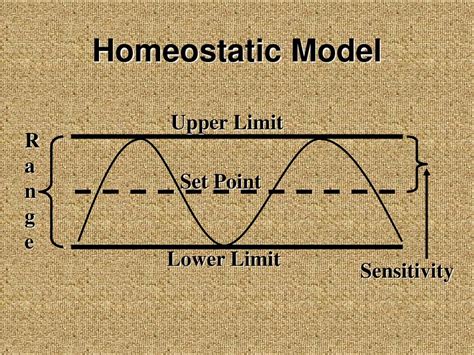 Set Points In Homeostasis