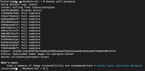 set postgres password docker