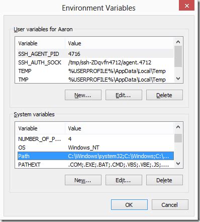 Set Windows Environment Variable In Python