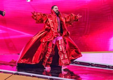Seth Rollins Outfits