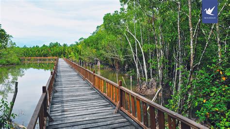 Penjelajahan Keindahan Setiu: Destinasi Menarik di Terengganu