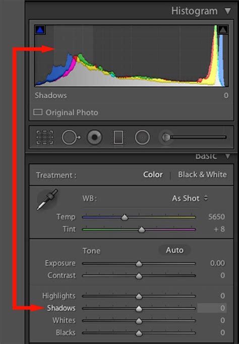 setting brightness and contrast in Lightroom