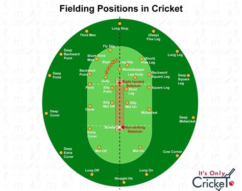 Setting Cricket Fielding Positions