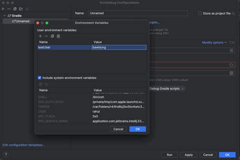 setting env variable in intellij