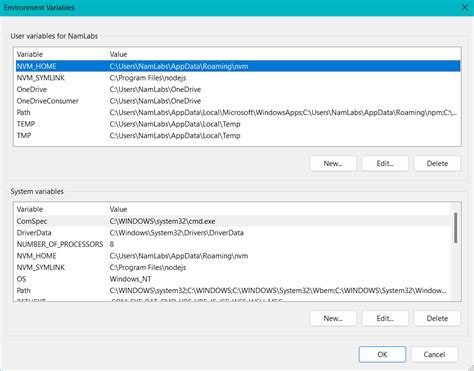setting environment variables in python script