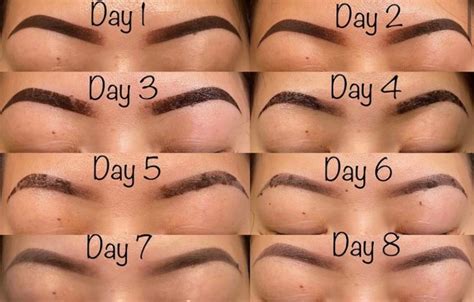 Setting Eyebrows With Powder