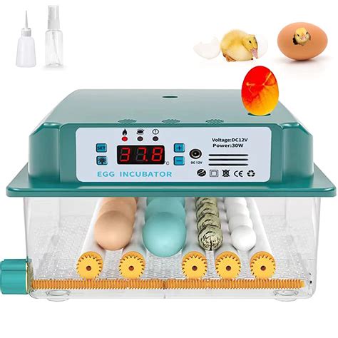 Setting Incubator For Duck Eggs