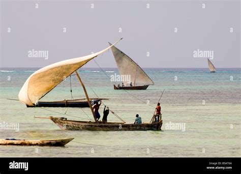 setting sail zanzibar