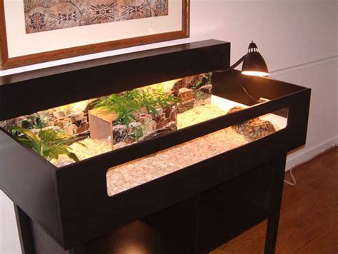 Setting Up A Tortoise Table