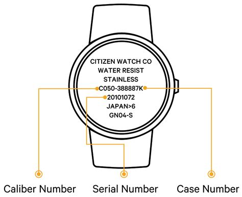 Citizen Watch Setting Instructions — F900 YouTube
