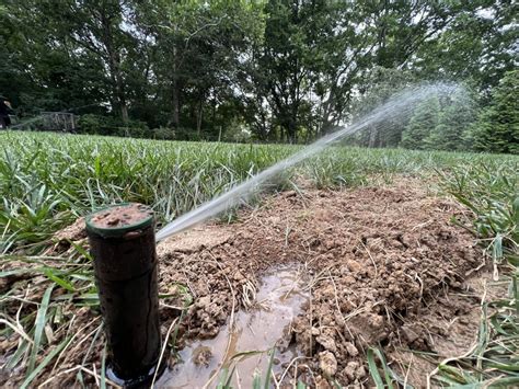 Top Sprinkler System