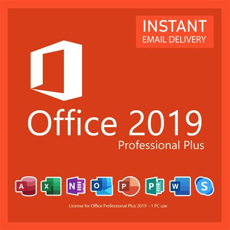 setup office 2019 professional plus