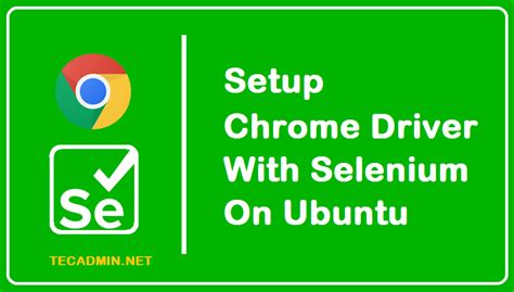 setup selenium and chromedriver on ubuntu