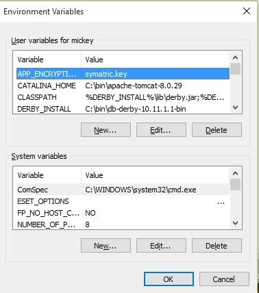 setx environment variable example