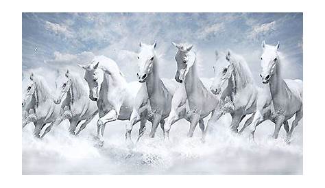 Download Seven White Horses Wallpaper Running Horse