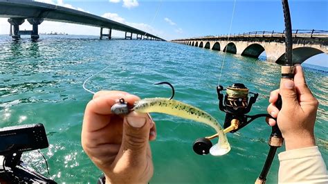 seven mile bridge reef fishing