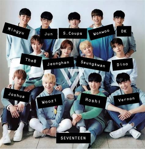 seventeen group members names