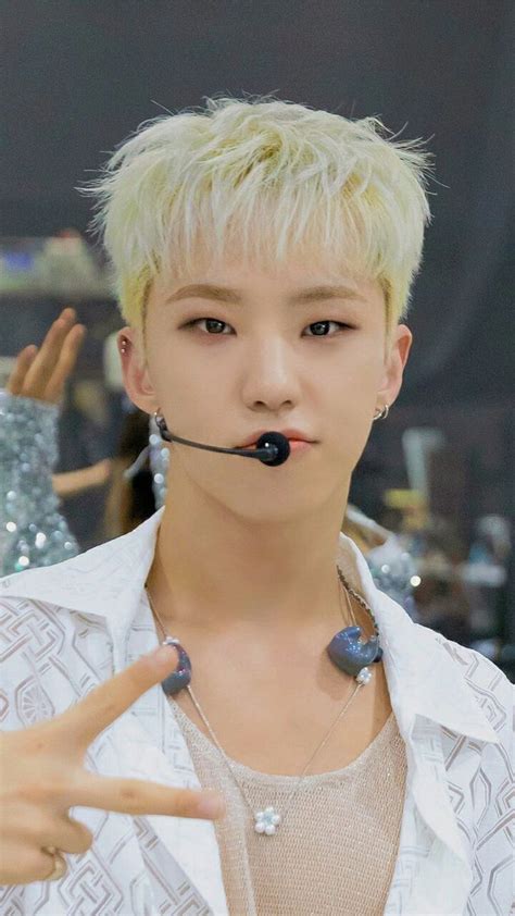 Seventeen Hoshi High Note