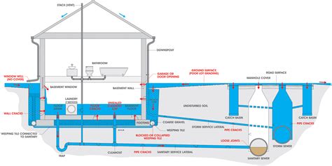 sewage backup in basement