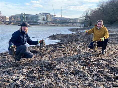 sewage in the thames