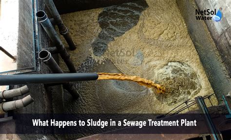 Sewage Sludge Is An Example Of