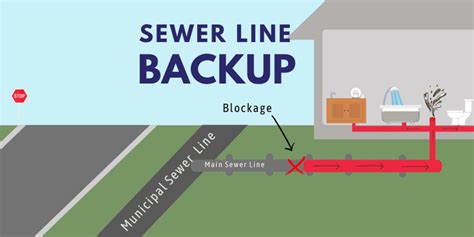 sewer line backup