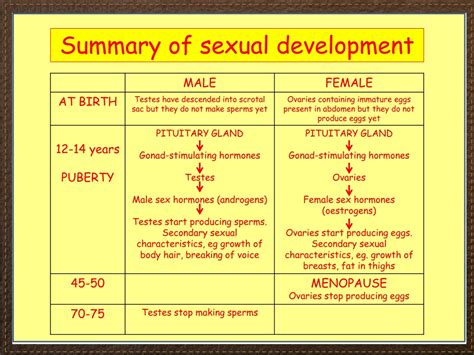 sexual maturation definition
