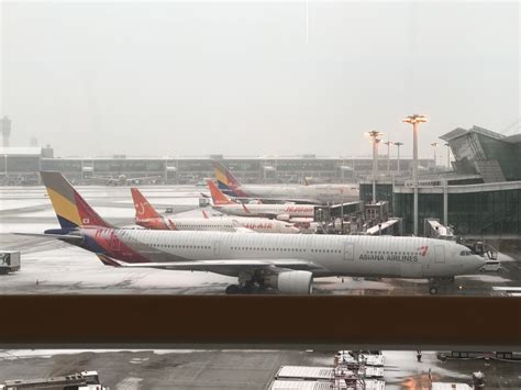 Non-Stop Journey: Discover SFO to Incheon's Ultimate Flight Experience