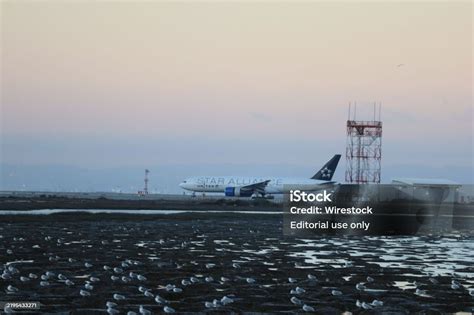 Discover the Ultimate SFO to Newark Flight Route: Your Journey Awaits