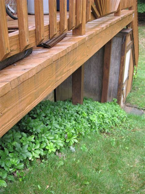 Shade Plants For Under Deck