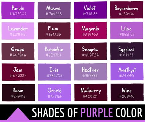 shades of purple color